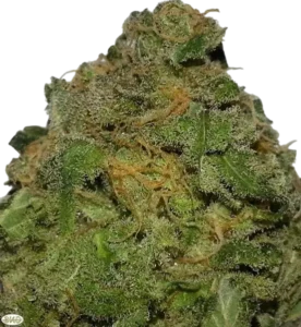 Grape Ape