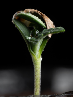 STAY AHEAD. GROW SMARTER.
