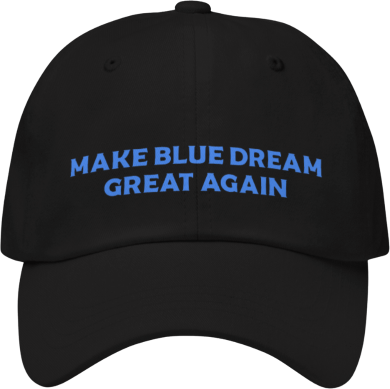 Cinderella 99 Hat